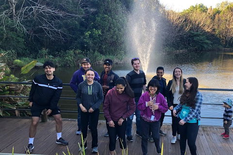 Natural Bridge, Skywalk And Mt Tamborine Adventure! - Holiday Find 4