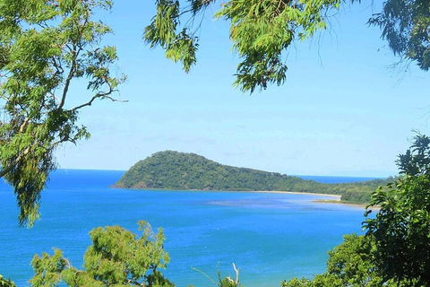 Full Day Tour In The Daintree - Holiday Find 1