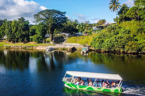 Full Day Tour In The Daintree - Holiday Find 2