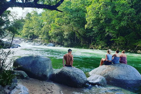 Full Day Tour In The Daintree - Holiday Find 3