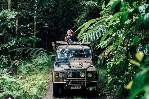 Full Day Tour In The Daintree - Holiday Find 4