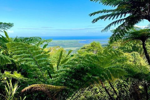 Full Day Tour In The Daintree - Holiday Find 5