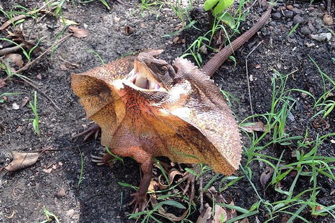 Litchfield National Park And Jumping Crocodile Cruise - Holiday Find 1