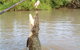 Litchfield National Park And Jumping Crocodile Cruise - thumb 2
