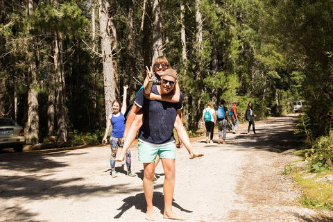 7-Day Best Of Tasmania Adventure Experience From Hobart (flexible Ticket) - Holiday Find 5