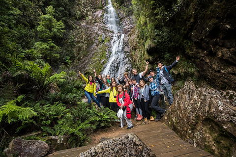 5-Day Lap Of Tasmania Tour From Hobart (flexible Ticket) - Holiday Find 0