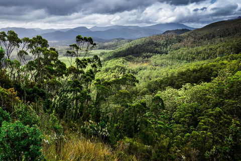 5-Day Lap Of Tasmania Tour From Hobart (flexible Ticket) - Holiday Find 2