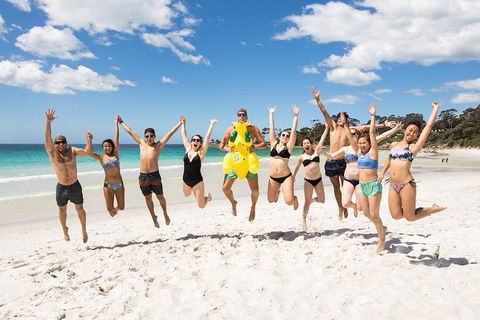 5-Day Lap Of Tasmania Tour From Hobart (flexible Ticket) - Holiday Find 4