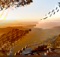 O'Reilly's  Lamington National Park incl. Alpaca Farm  Vineyard - Holiday Find