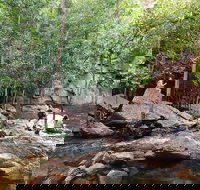 Ethical Adventures - Best in the WET - Litchfield / Kakadu 3 Day- max 10 guests - Holiday Find