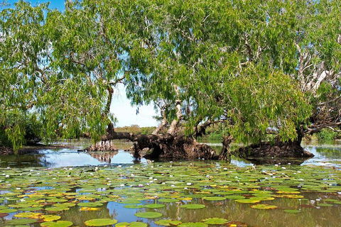 Ethical Adventures - Best In The WET - Litchfield / Kakadu 3 Day- Max 10 Guests - Holiday Find 1