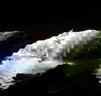 Rainforest  Waterfalls Extravaganza - Holiday Find