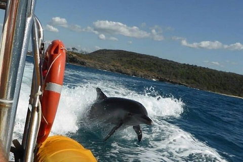 Noosa Oceanrider - Adventure Tour - Holiday Find 1