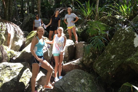Byron Bay Hinterland Tour Including Rainforest Walk To Minyon Falls - Holiday Find 3