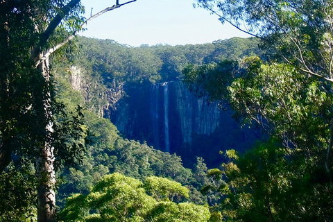 Byron Bay Hinterland Tour Including Rainforest Walk To Minyon Falls - Holiday Find 4