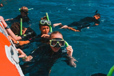 Whitehaven Beach And Hill Inlet Lookout Full-Day Snorkeling Cruise By High-Speed Catamaran - Holiday Find 3