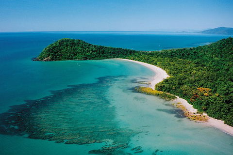 Daintree Rainforest, Cape Tribulation, Mossman Gorge Small-Group Day Tour - Holiday Find 4