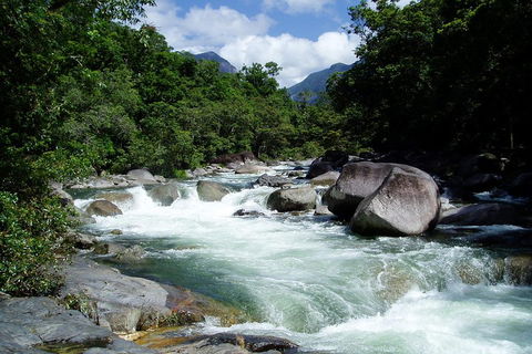 Daintree Rainforest, Cape Tribulation, Mossman Gorge Small-Group Day Tour - Holiday Find 5