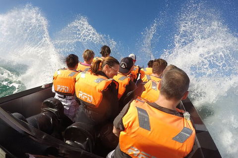Noosa Thriller - 500hp Ocean Adventure Ride - Holiday Find 4