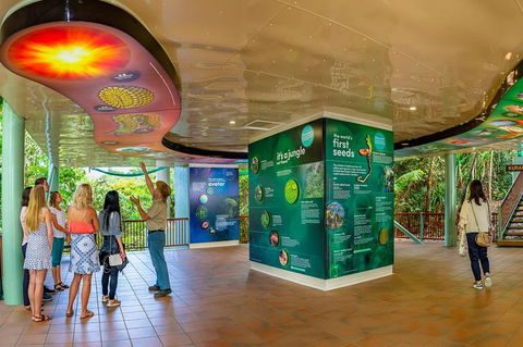 Skyrail & Kuranda Train Day Trip From Cairns - Holiday Find 0