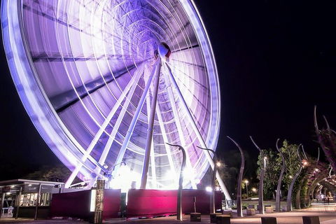 Discover Brisbane - Holiday Find 0