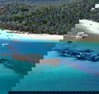All Inclusive Tangalooma Wrecks Cruise Tour From Gold Coast - Holiday Find