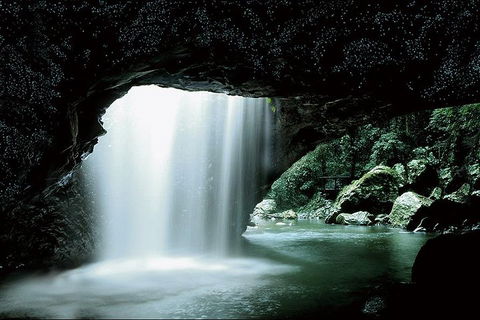 Natural Bridge Glow Worm Night Tour From Gold Coast - Holiday Find 0