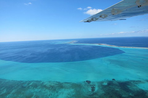 Shipwreck Special Full Day Tour Of The Abrolhos Islands - Holiday Find 2