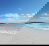Shipwreck Special Nature Tour/Half Day Tour - Holiday Find