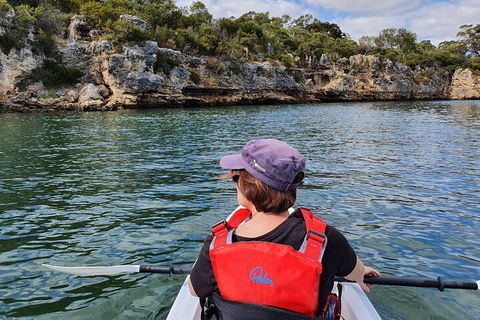 Cliffs And Caves Kayak Tour In Swan River - Holiday Find 0