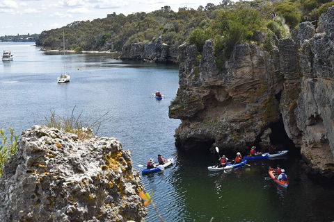 Cliffs And Caves Kayak Tour In Swan River - Holiday Find 5