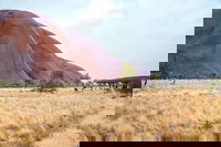 Uluru Sunrise and Guided Base Walk