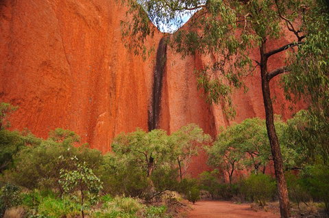 Uluru Sunrise And Guided Base Walk - Holiday Find 3