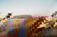 Uluru Ayers Rock Sunset Tour