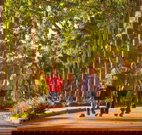 Darwin City Sights and Jumping Crocodile Cruise - Holiday Find