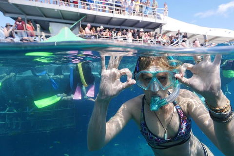 Great Barrier Reef Day Cruise From Cairns Including Snorkeling And Marine Biologist Presentation - Holiday Find 0
