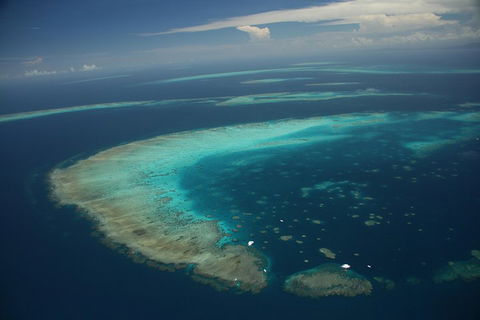Great Barrier Reef Day Cruise From Cairns Including Snorkeling And Marine Biologist Presentation - Holiday Find 1