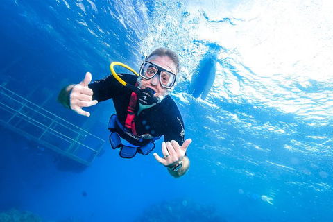 Great Barrier Reef Day Cruise From Cairns Including Snorkeling And Marine Biologist Presentation - Holiday Find 3