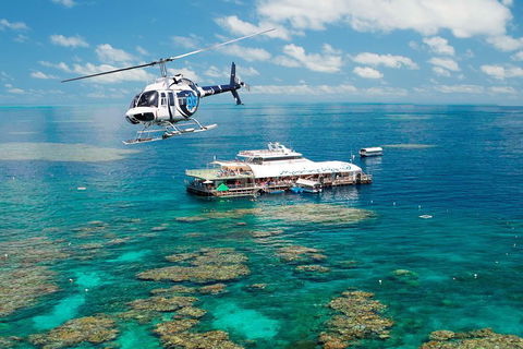 Great Barrier Reef Day Cruise From Cairns Including Snorkeling And Marine Biologist Presentation - Holiday Find 5