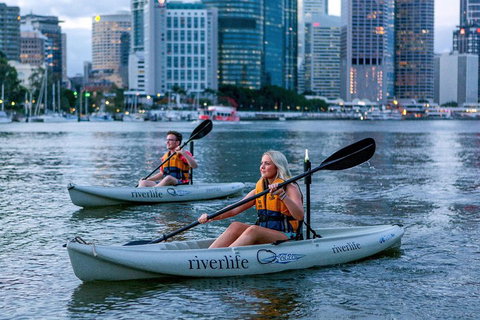 Brisbane Kayak Tour - Holiday Find 3