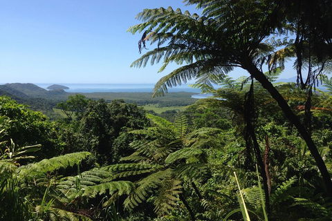 Daintree And Cape Tribulation Full Day Guided Tour - Holiday Find 2