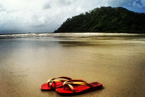 Daintree And Cape Tribulation Full Day Guided Tour - Holiday Find 4