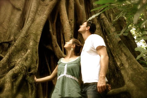 Daintree And Cape Tribulation Full Day Guided Tour - Holiday Find 5