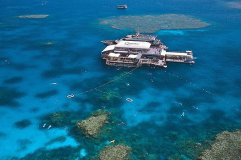Quicksilver Outer Great Barrier Reef Snorkel Cruise From Palm Cove - Holiday Find 1
