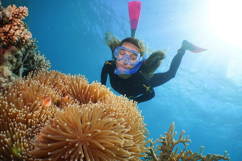Quicksilver Outer Great Barrier Reef Snorkel Cruise From Palm Cove - Holiday Find 2