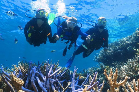 Quicksilver Outer Great Barrier Reef Snorkel Cruise From Palm Cove - Holiday Find 3