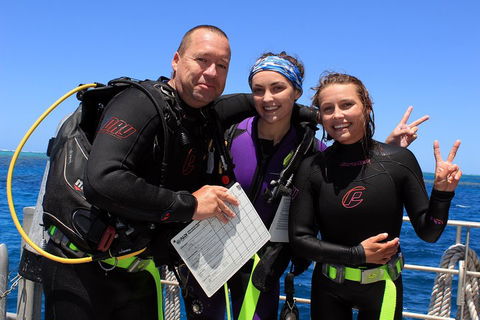 Quicksilver Dive 4 Day PADI Learn To Dive Course - Holiday Find 0
