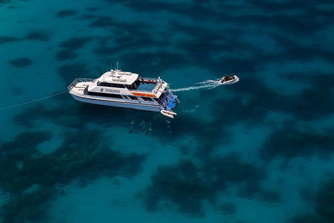 Quicksilver Dive 4 Day PADI Learn To Dive Course - Holiday Find 1
