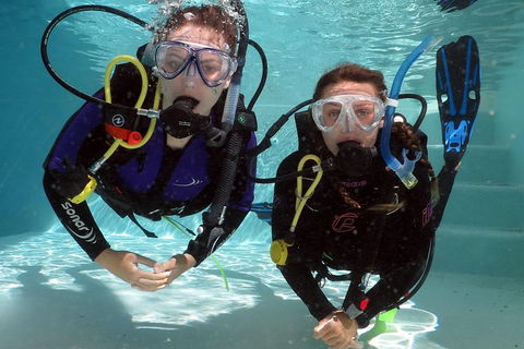 Quicksilver Dive 4 Day PADI Learn To Dive Course - Holiday Find 2