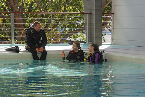 Quicksilver Dive 4 Day PADI Learn To Dive Course - Holiday Find 3
